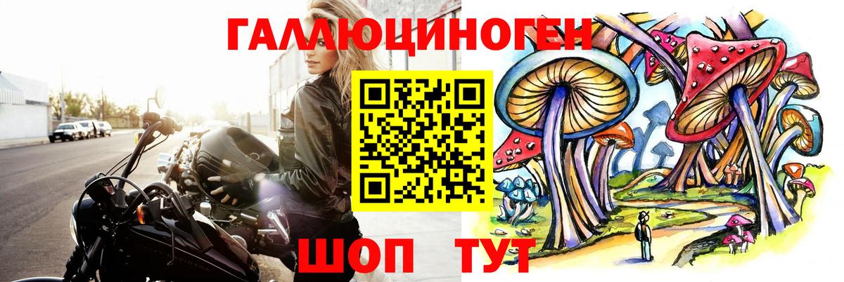 Галлюциногенные грибы прущие грибы Кировск