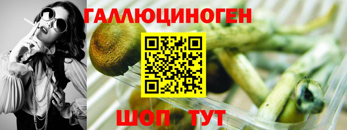 Кировск  Галлюциногенные грибы Magic Shrooms  Вход с VPN 